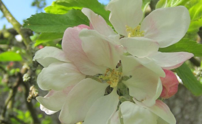 Tuesday May the 3rd: surprise&nbsp;surprise!