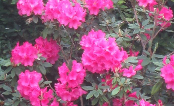 News regarding the timing:June&nbsp;22th