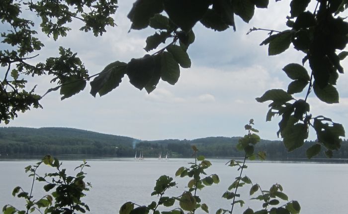 A last trip before going to the hospital: le&nbsp;Morvan