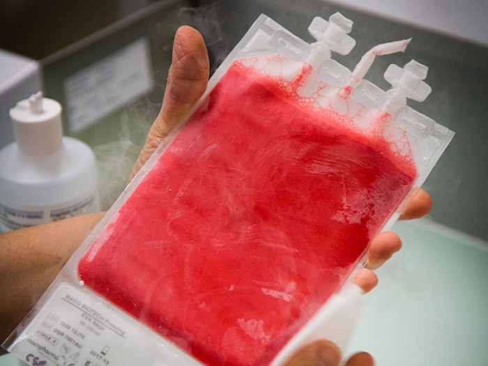 ps_141230_hematopoietic_stem_cells_800x600