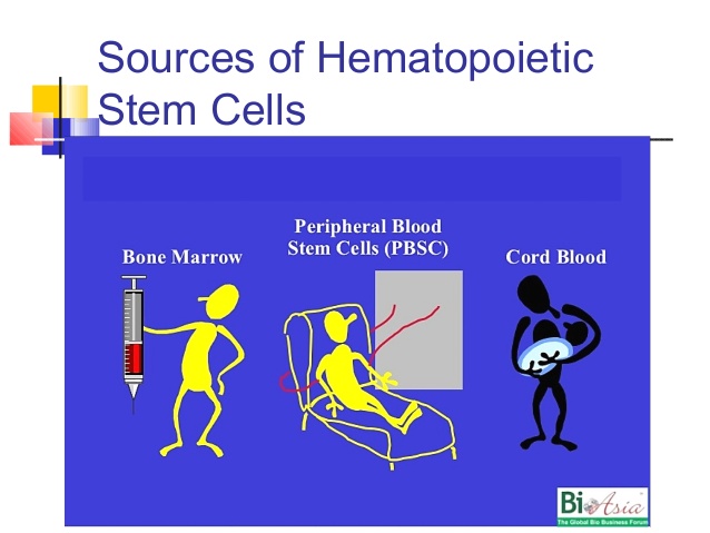 stem-cell-transplantation-4-638
