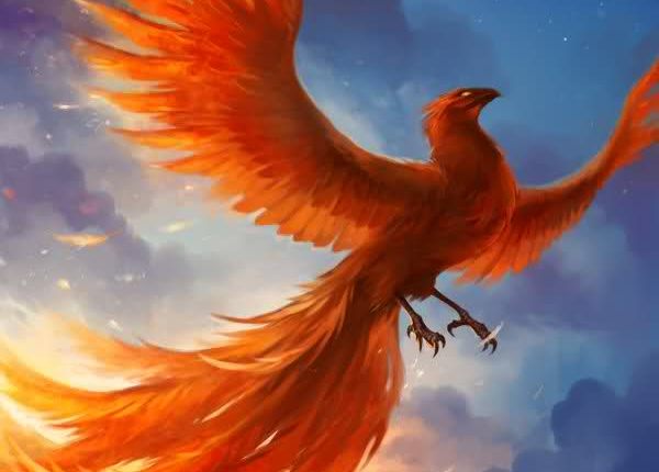 June 24th 2016- June 24th&nbsp;2019