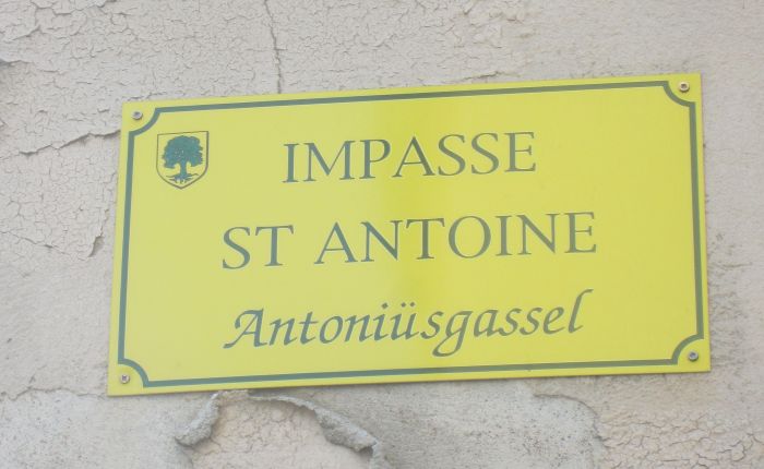 Maybe, after all, the photopheresis is&nbsp;working!