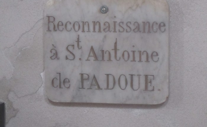 My Big Family of Saint&nbsp;Antoines