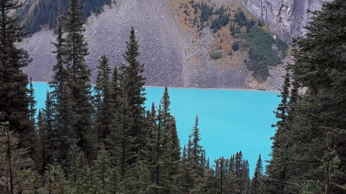 20180909_120125_resized_1