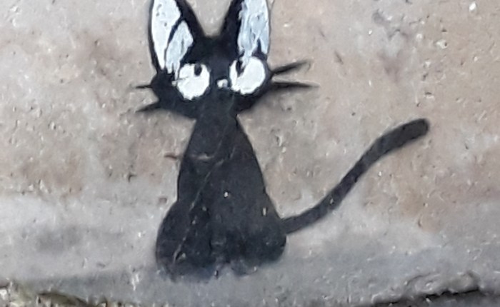 Carcinomas… again :-(!