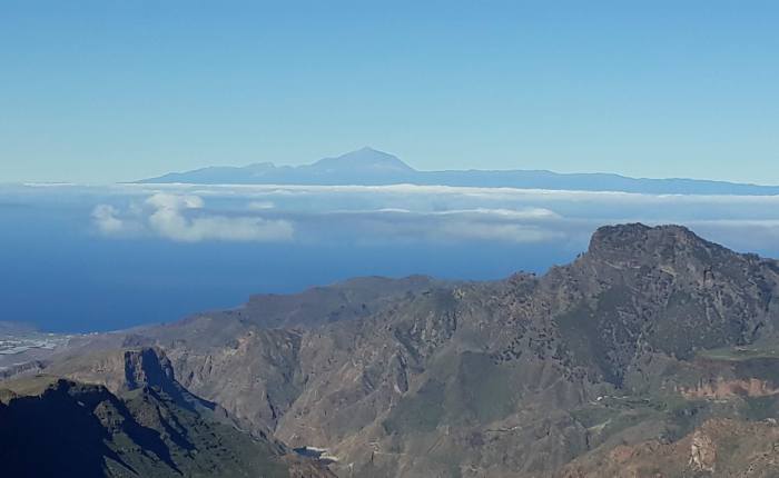 Plastic Surgery: removing a&nbsp;carcinoma