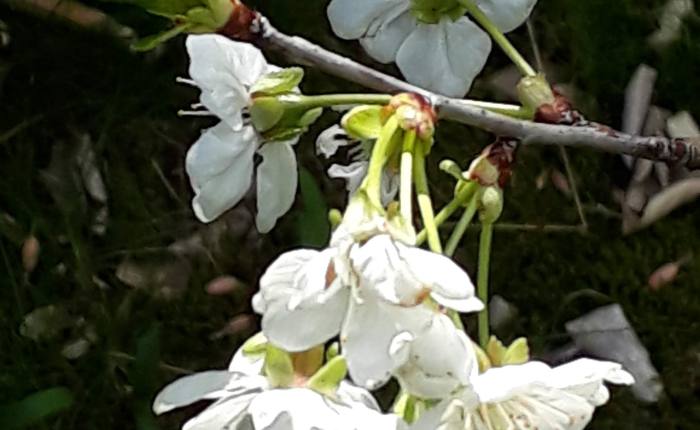 The renewed pleasure to be able to&nbsp;travel