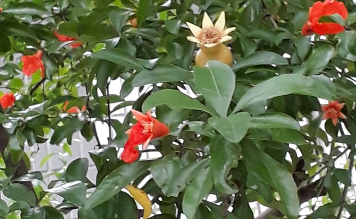 Nanjing-Yangzhou-China