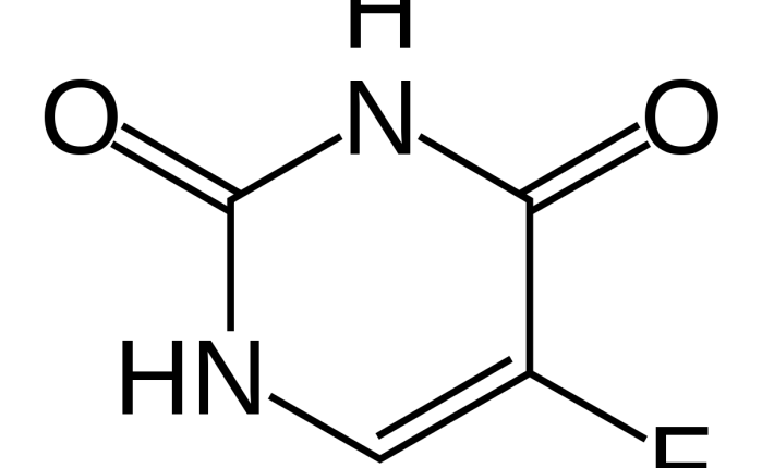 Carcinomas and me: a long love&nbsp;story!