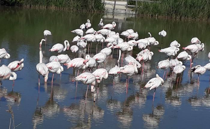 Heading for the&nbsp;south…