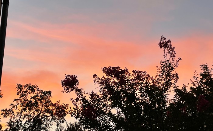 Toward self-sufficiency…