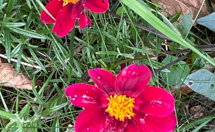 My yearly visit to Saint Antoine&nbsp;Hospital