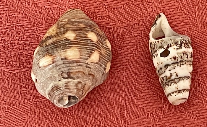 Provence-Côte d’Azur