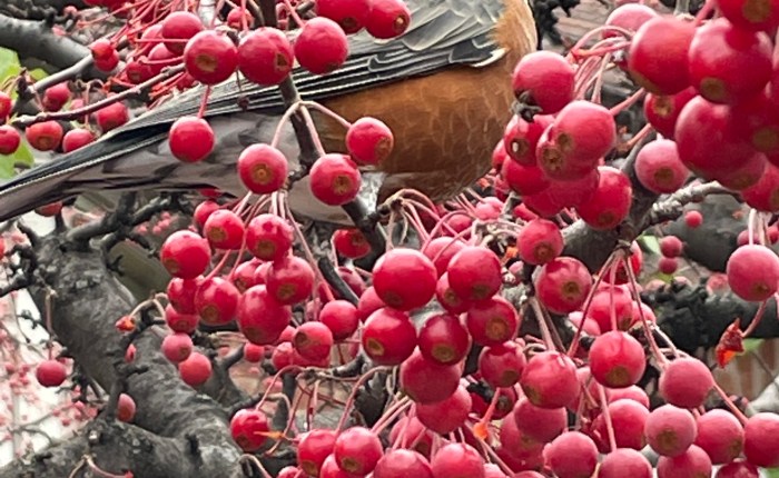 Visiting Toronto in&nbsp;November