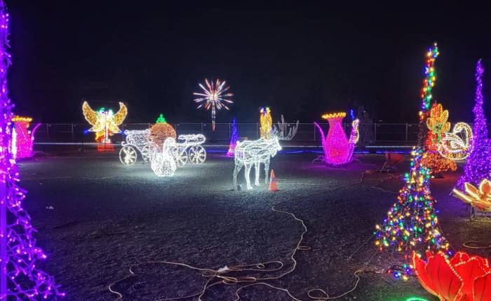 Christmas and New Year in Toronto