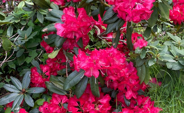 My yearly visit to Saint Antoine&nbsp;Hospital