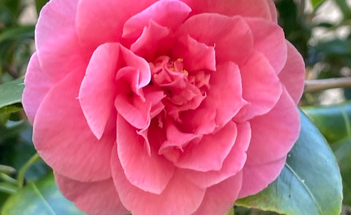 Spring is coming… Spring is&nbsp;there!